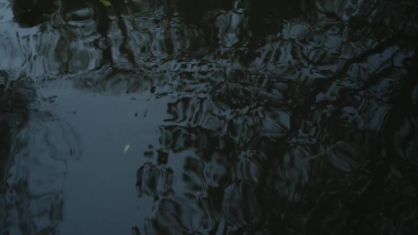 Calm lake water softly rippling mirroring the trees and the sky