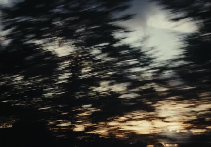 Upward view of the sky with clouds on a morning and silhouettes of trees