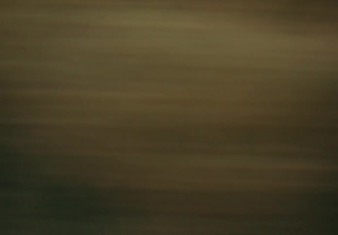 Transistion effect. The greenery goes by fast in a blur.
