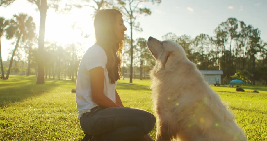 A woman and a dog in a park during the day