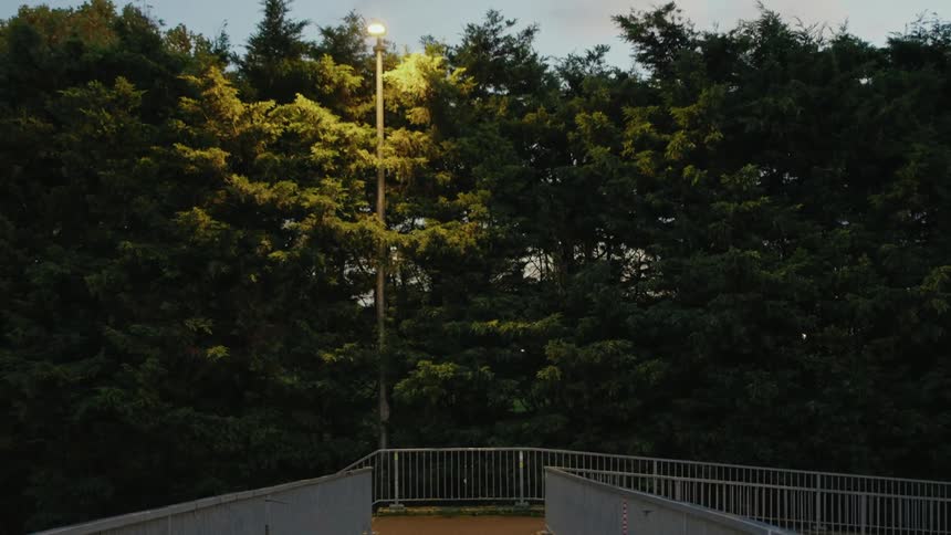 A lamppost illuminating tree leaves that are close to a path with handrails