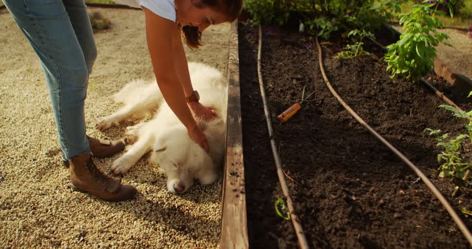 A woman in a garden bends down to pet a dog lying on the ground