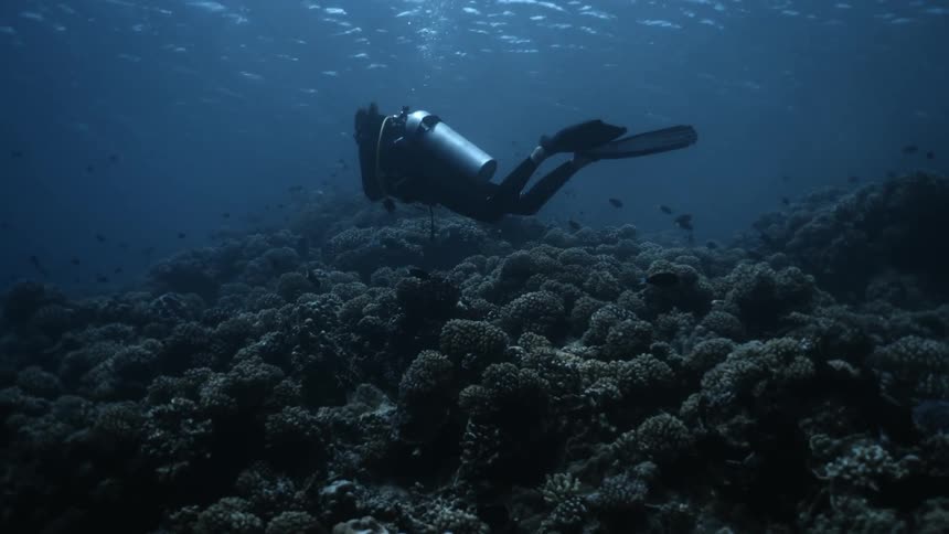 Person diving with oxygen tank underwater
