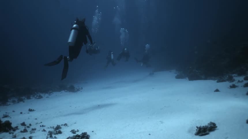 A group of divers underwater near the bottom of the sea