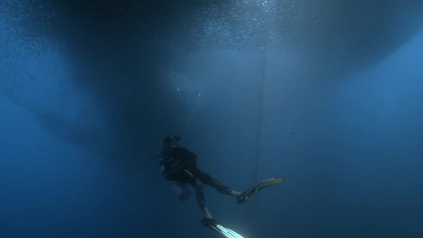 Scuba diver swims under a large shoal of fish in the ocean