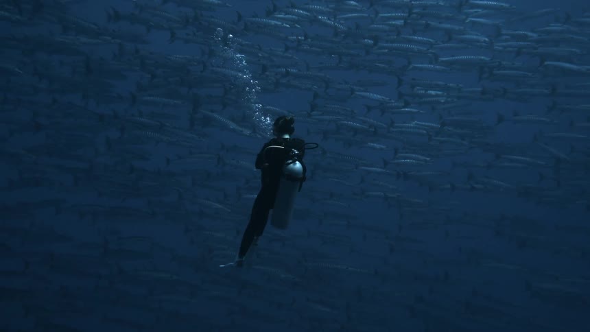 Diver with oxygen tank swimming alongside a large school of fish on the ocean floor