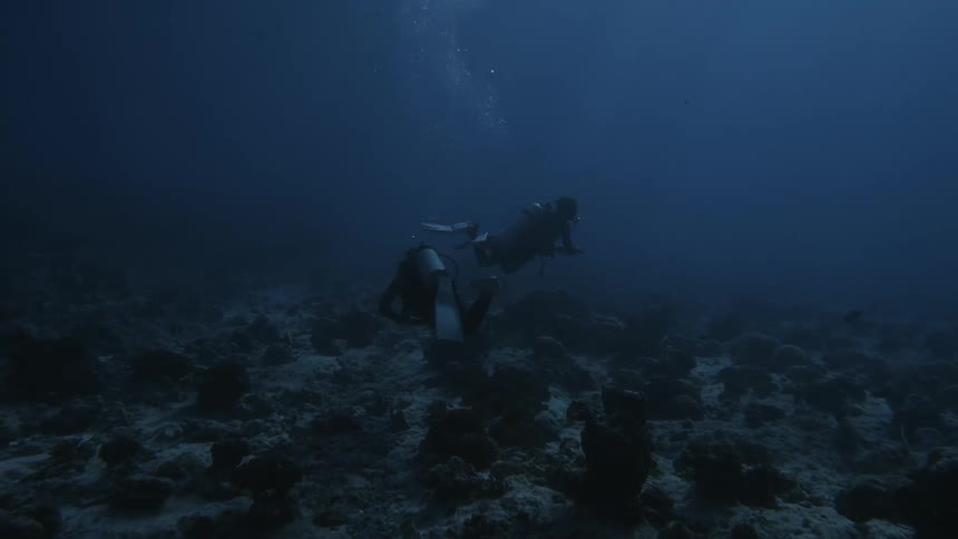 Two divers in the depths of the sea swimming under a reef