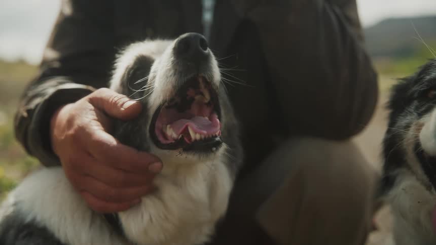 Man crouching on the ground pet his dog in the countryside