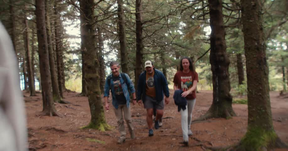 A group of people walking in a forest full of trees