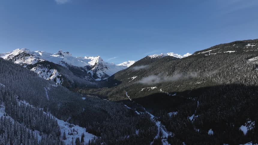 A landscape of a mountain of trees with some snow on the ground