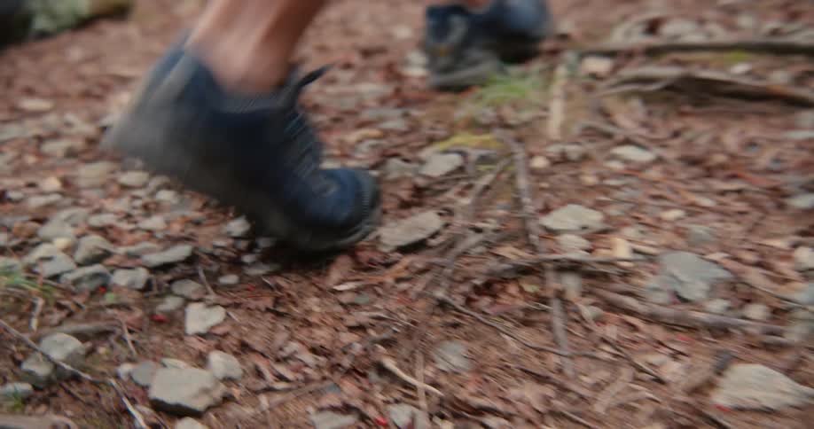 Closeup of the feet of people walking on a nature trail