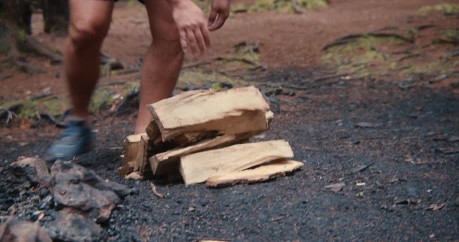 A man in the forest collecting firewood for the fire