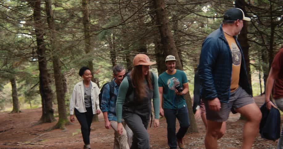 Group of friends walking in the forest