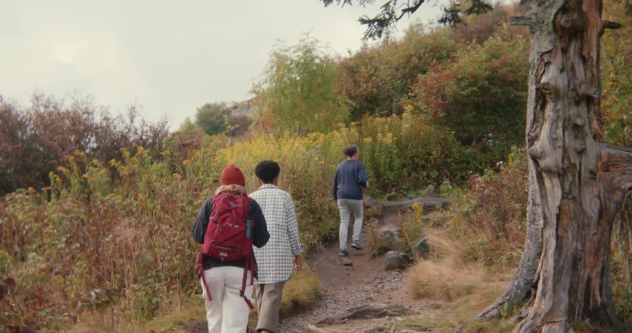 Group of friends hiking in the mountains