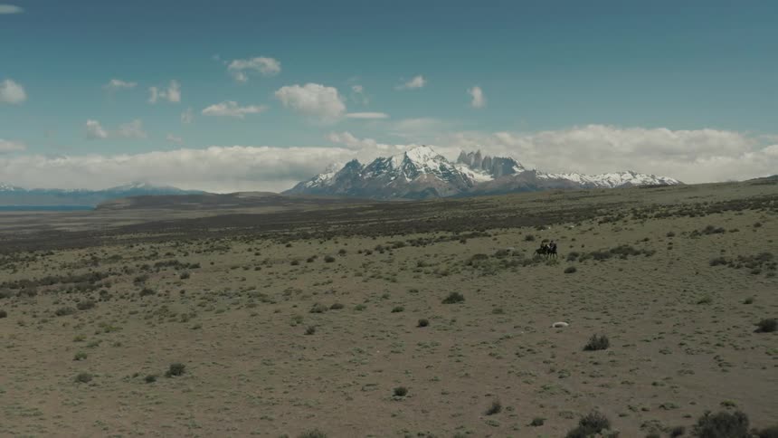 Aerial panorama of a grassland with two people riding horses and snowcapped mountains on the horizon