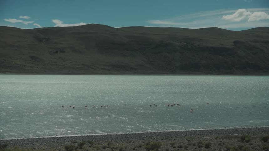 Birds in a clear water lake and mountain in the background