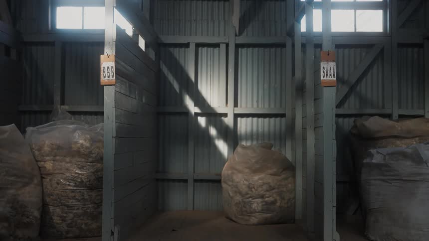 A harvest storage shed with bags of crops