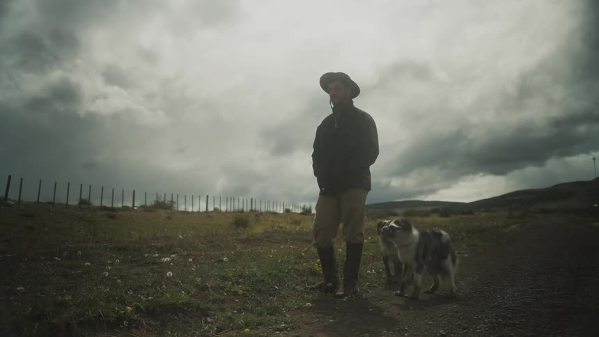 Man stands near fenced pasture with dogs on overcast day
