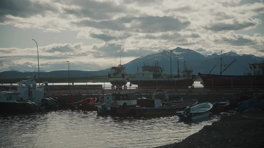 Sea boats moved in a dock