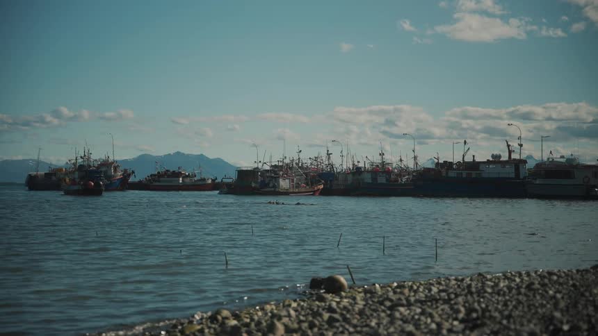 Fishing boats crowded together in the water by the shoreline under a blue sunny sky