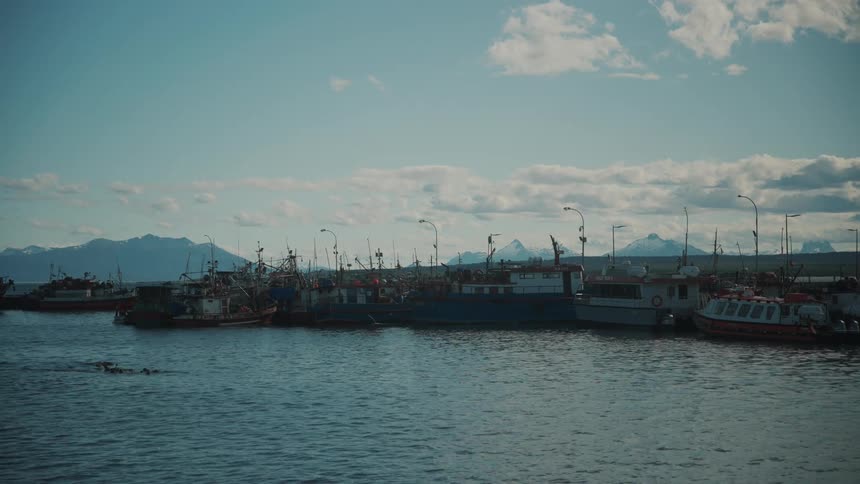 Boats moored in the coast at morning