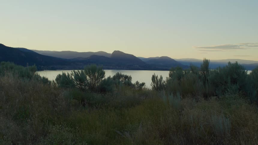 A landscape of vegetation and behind it there is a lake and huge mountains