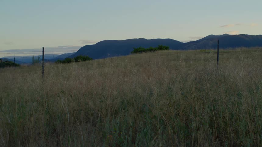 Landscape of a field with mountains on the horizon in the morning