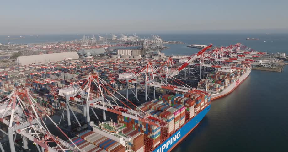 Multiple container ships sit docked under loading cranes on the waterfront