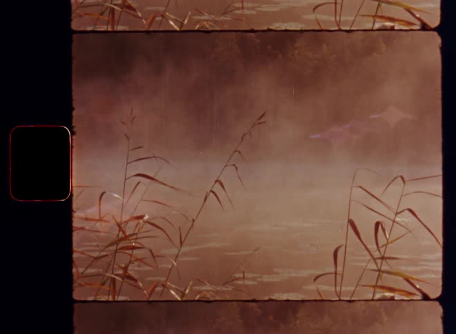 The soft wind or breeze is blowing the rising fog or mist away from the surface of a small forest lake surrounded by reeds and cane on a sunny autumn morning caught on vintage 8mm film