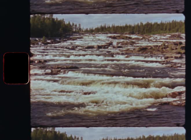 View of a river amidst waterfalls and surrounded by conifers