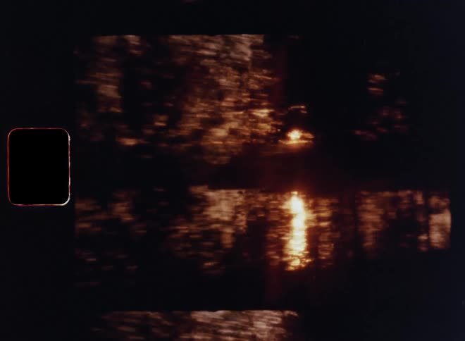 Moving or driving past a lake or river at high speed with dynamic movement during sunset as the sun goes down and shines onto the water with bright reflections and flickering lens flare as forest trees pass by in golden evening light