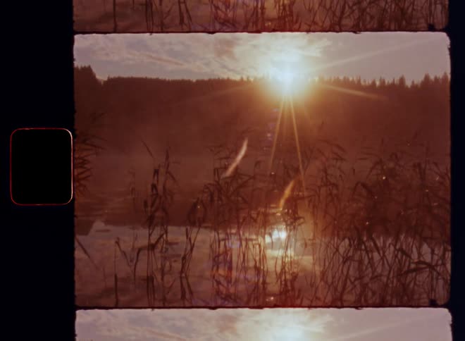 View of a lake with the sun on the horizon rising above the tree tips of the conifer forest while gliding through the reeds or cane with a boat on a sunny and misty or foggy morning on Super 8mm