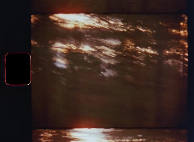 Back or front seat view out of a car window while passing a forest road or street in the early morning time as the sun rises at the horizon behind the trees and the vibrant light shining through on dynamic retro S8 film footage