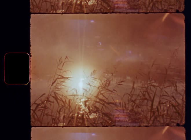 Dynamic Super 8mm film footage of sunlight reflecting on a lake with mist and fog rising from the surface surrounded by reed and cane plants with bright lens flare