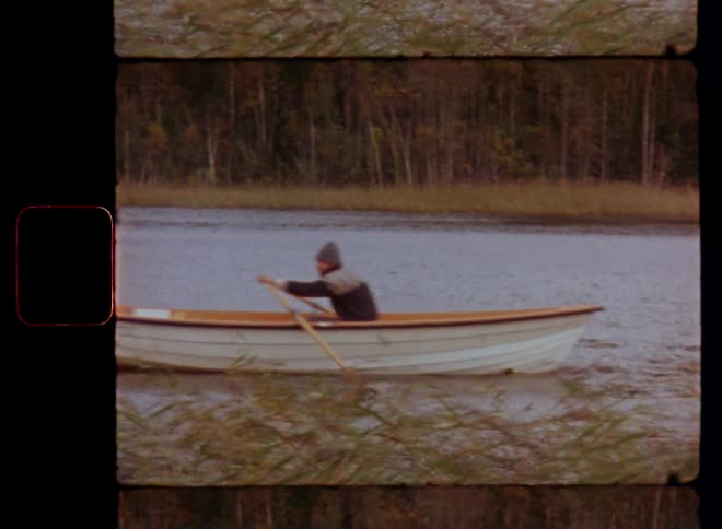 Lonesome or lonely middle-aged man rowing a boat or a canoe on a river or forest lake surrounded by reeds while the wind or the breeze makes the cane plants or branches move or sway caught on vintage Super 8mm film