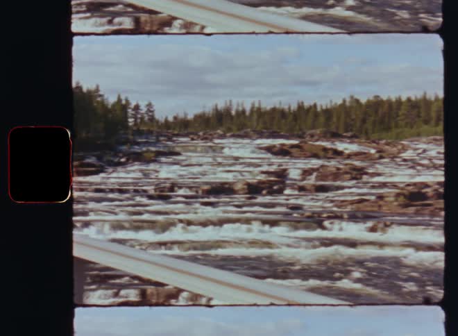 A river in the forest with rocks and high tide