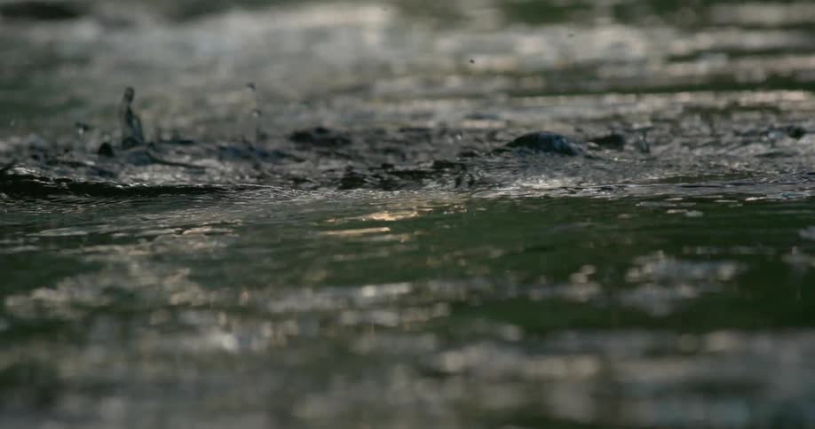 A rock is dropped into the water