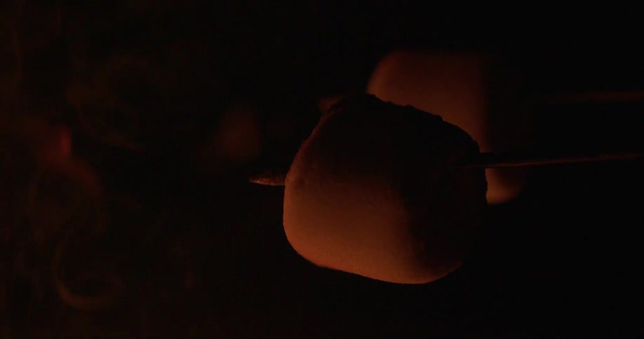 Marshmallows are on a stick near a fire