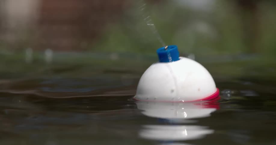 A fishing bob is dropped into the water