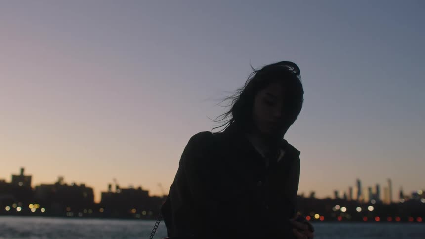 Woman leaning against the railing at the edge of a lake and next to a bridge in a metropolis with the sky getting dark