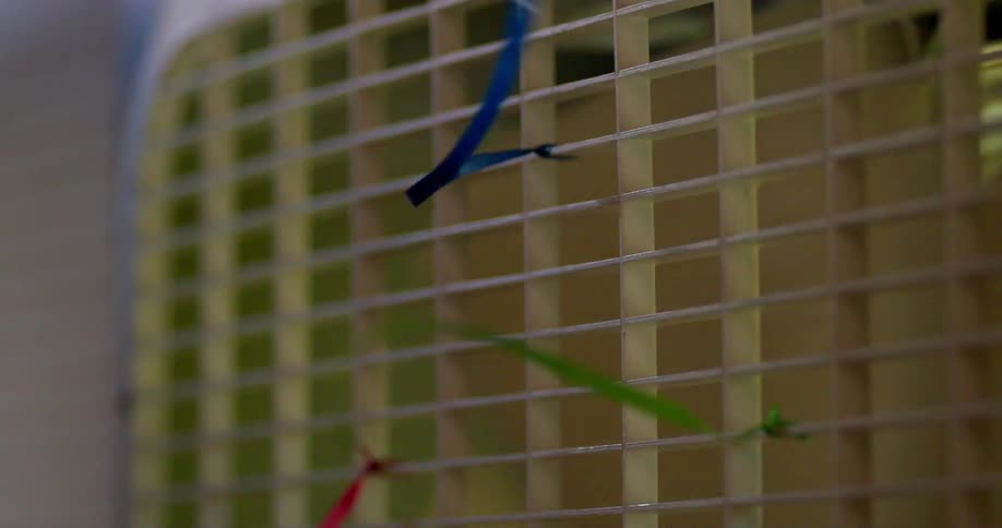 A fan is blowing ribbons tied to it