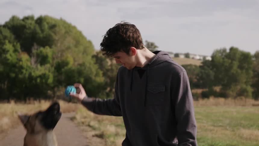 A man holds a ball up for a dog to jump and grab