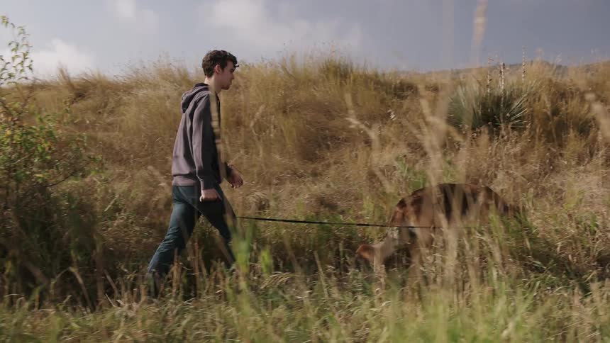 A man walks his dog on a grassy hill