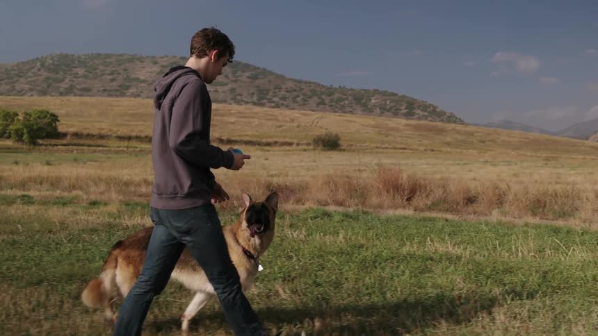 Man walks with a dog in a rural field