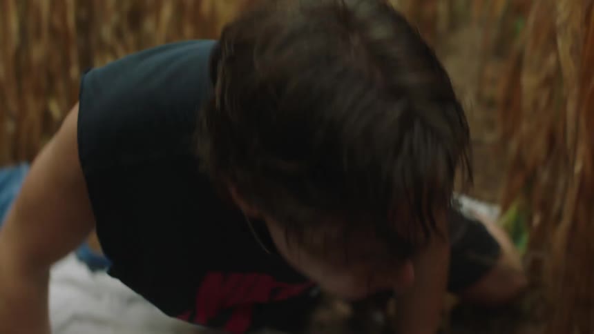 Two young people on the ground in a cornfield fighting and grabbing a metallic object from each others hands and leaving
