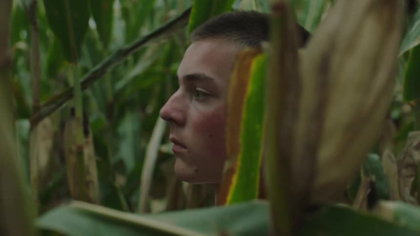 A boy in the corn field holding a ball of aluminum foil