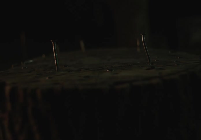 Wooden stump cut with nails