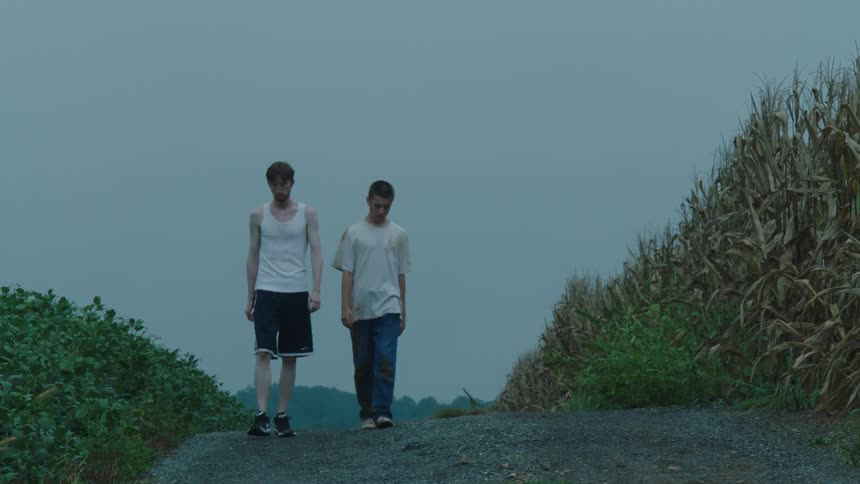 Friends walk next to a corn field at morning