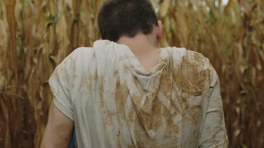 Man wearing dirty shirt sits on ground next to cornfield
