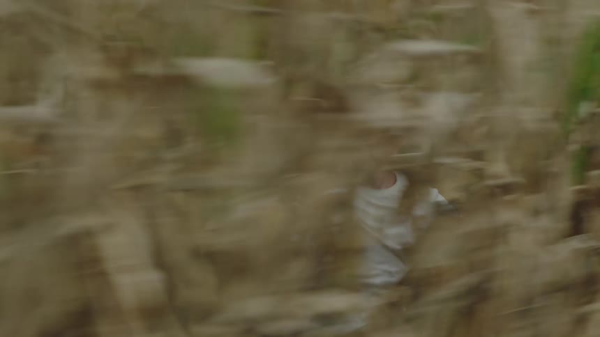 Man running through a yellow cornfield looking behind him during the day